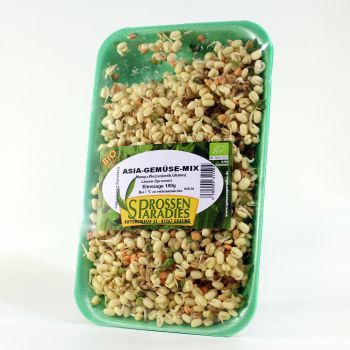 SPROSSENPARADIES Asia sprossen