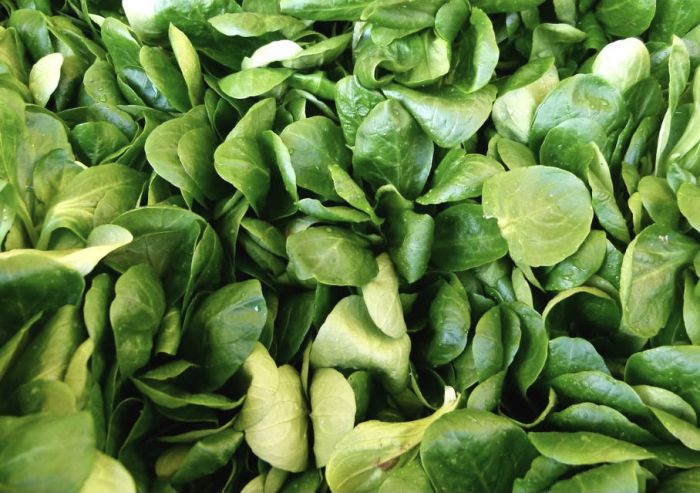 HOLZER Vogerlsalat 100 g