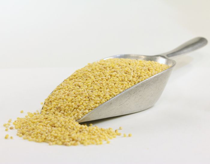 KETTLER Hirse lose 1kg