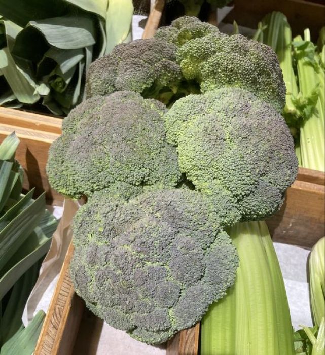 BIO Broccoli 1 kg