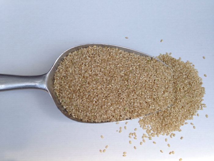 DAVERT Rundkornreis lose 1kg