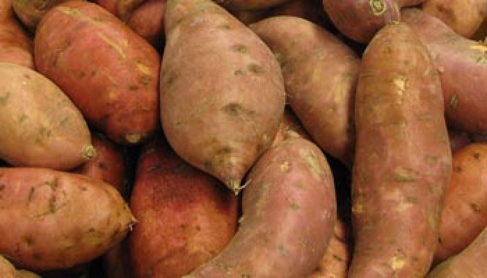 BIO Süsskartoffeln 1 kg